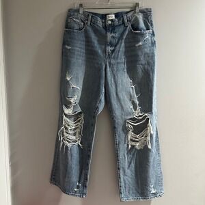 PISTOLA Bobbie High Rise Wide Leg Jeans (Style #P6518KEE-ROB) Sz 31 Distressed